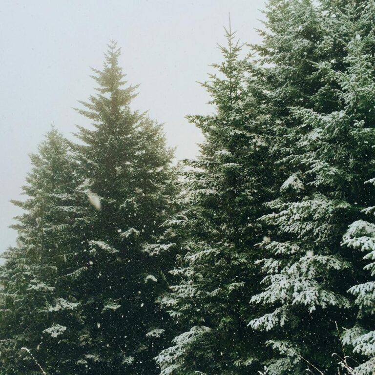 Cómo Mantenerse Activo en Invierno de Forma Fácil y Divertida